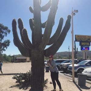 Meet your Posher, Jenelle